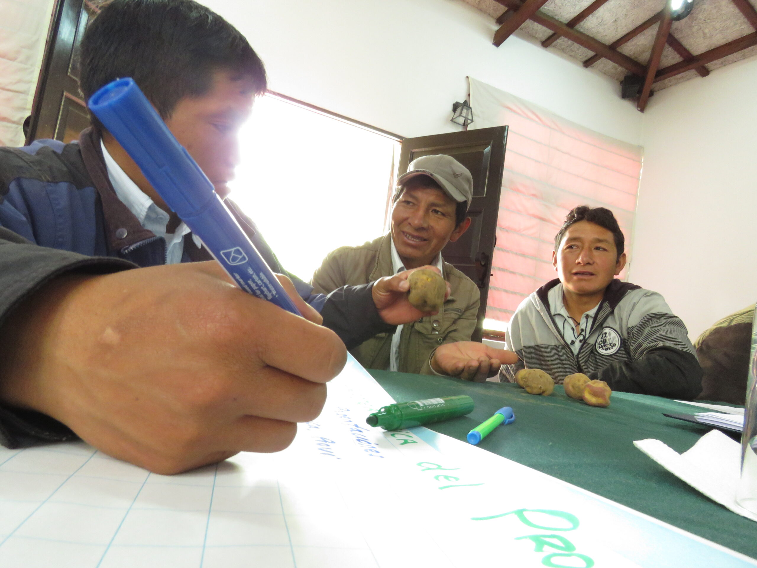 4 razones para transformar una asociación en una cooperativa de productores